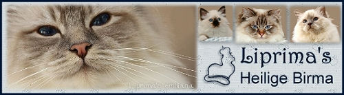 Banner Liprimas