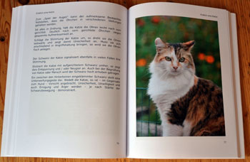 Buch Seite 77
