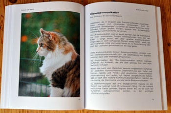 Buch Seite 78