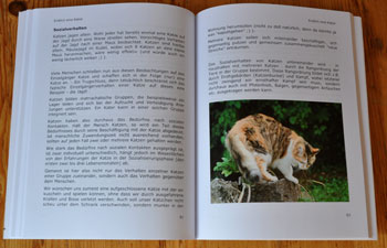 Buch Seite 83
