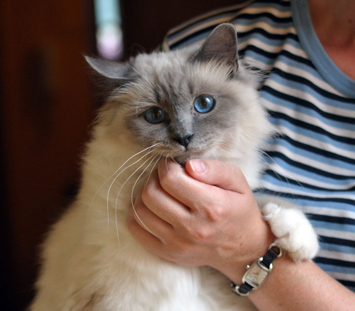 Dusty 2010