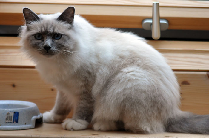 Dusty 2010