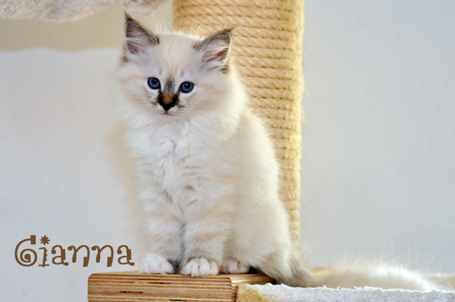Gianna