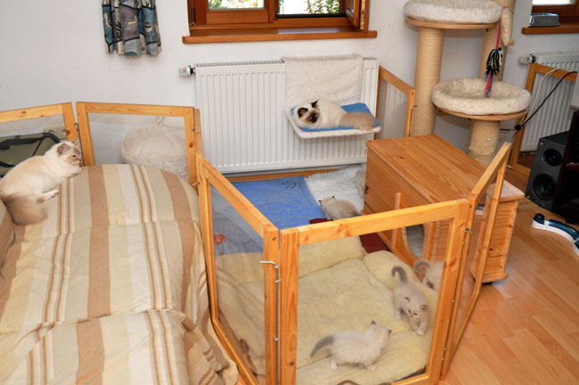 im wohnzimmer