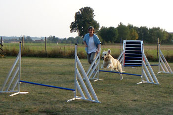 Agility