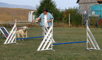 Agility