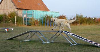 Agility