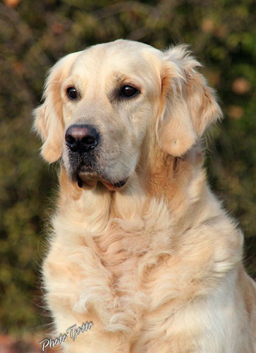 Jule Dezember 2012