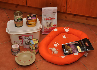 Kittenausstattung