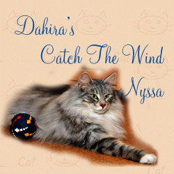Nyssa