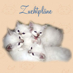 Pläne