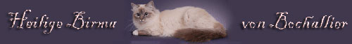 Banner Bochallier