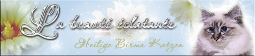 La beauté éclatante